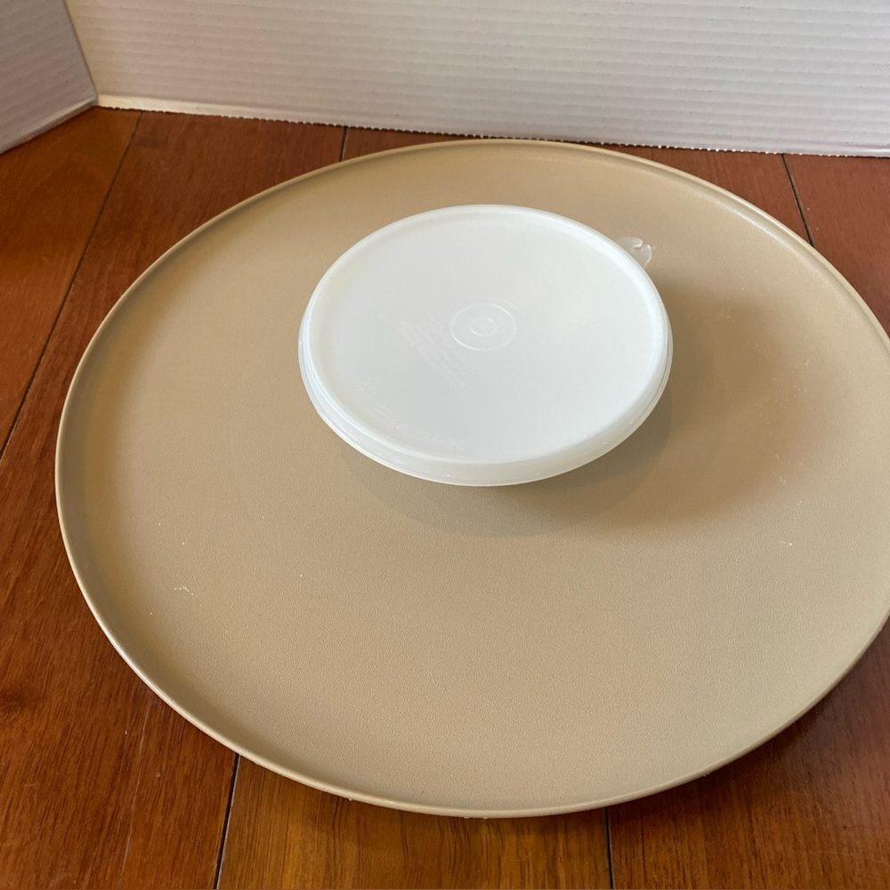 VTG  Tupperware Dip-N-Serve fruit Vegetable Appetizer Tray  Almond / beige 14”